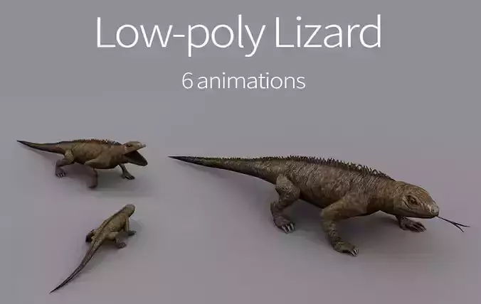 animated reptile lizard