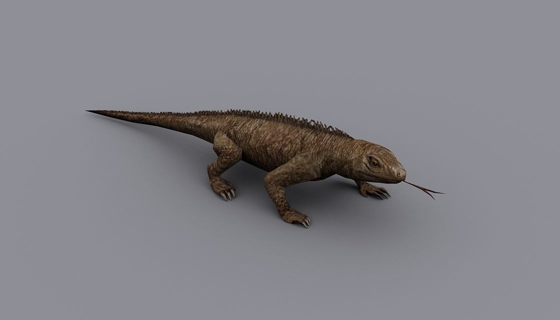animated reptile lizard Low-poly 3D model_2
