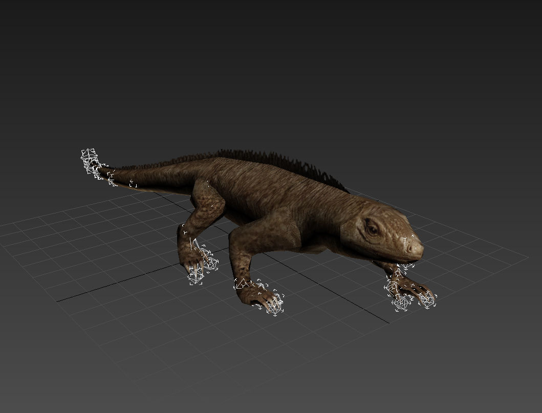 animated reptile lizard Low-poly 3D model_5