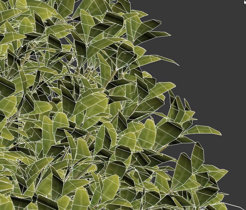 Buxus Sempervirens Nr12 bullet shape 3D model_2