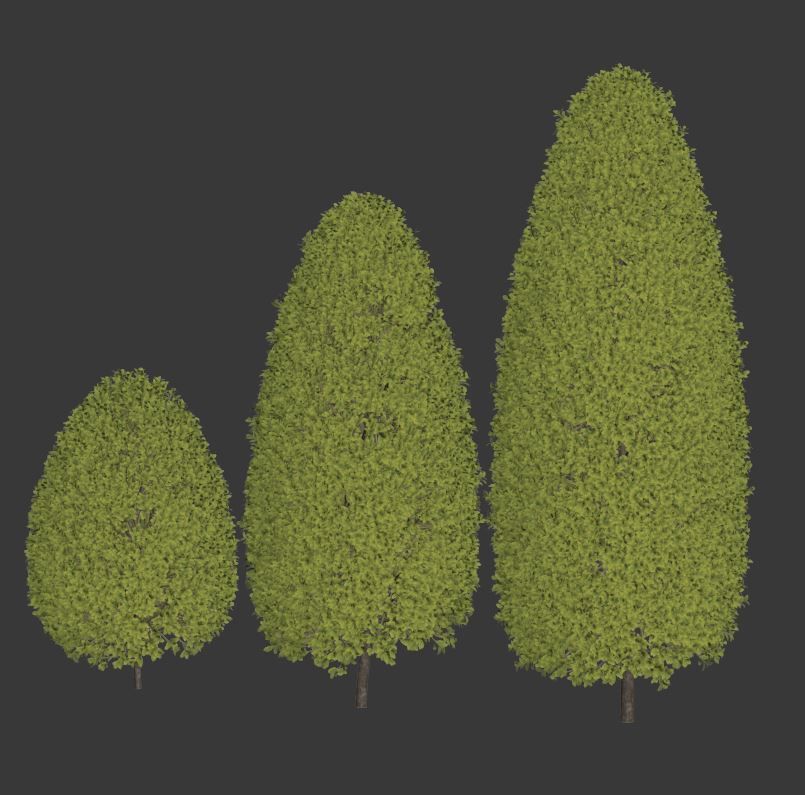 Buxus Sempervirens Nr12 bullet shape 3D model_4