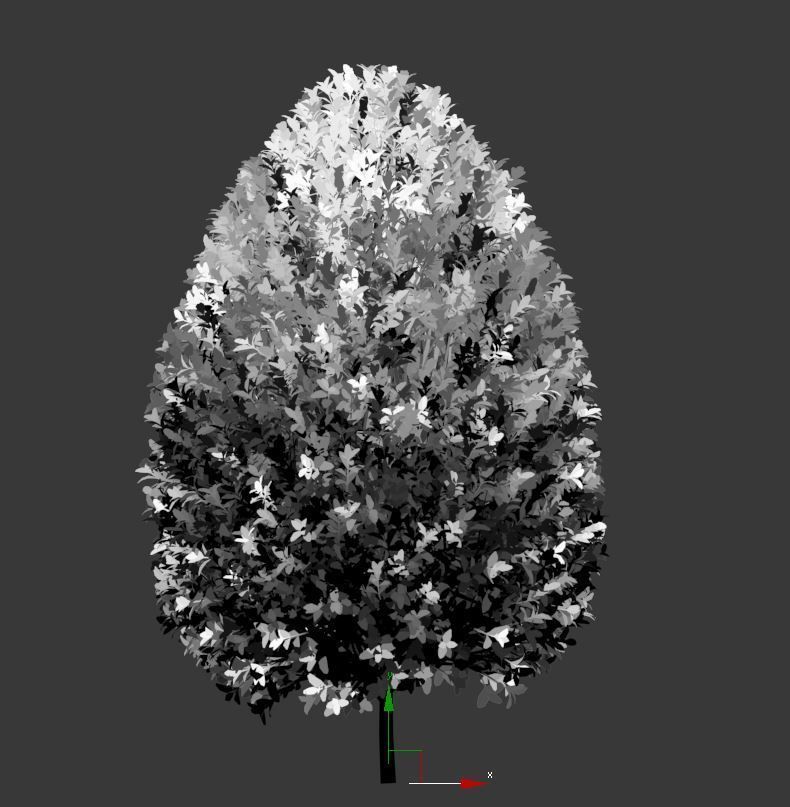 Buxus Sempervirens Nr12 bullet shape 3D model_3