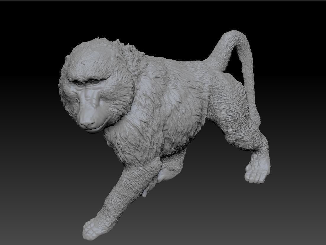 Deco Figurine Monkey Walking Baboon XL 3D model_10