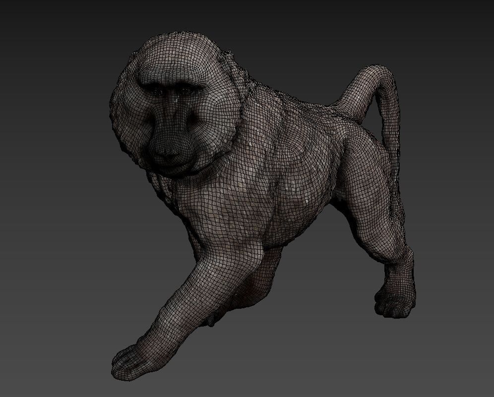 Deco Figurine Monkey Walking Baboon XL 3D model_6