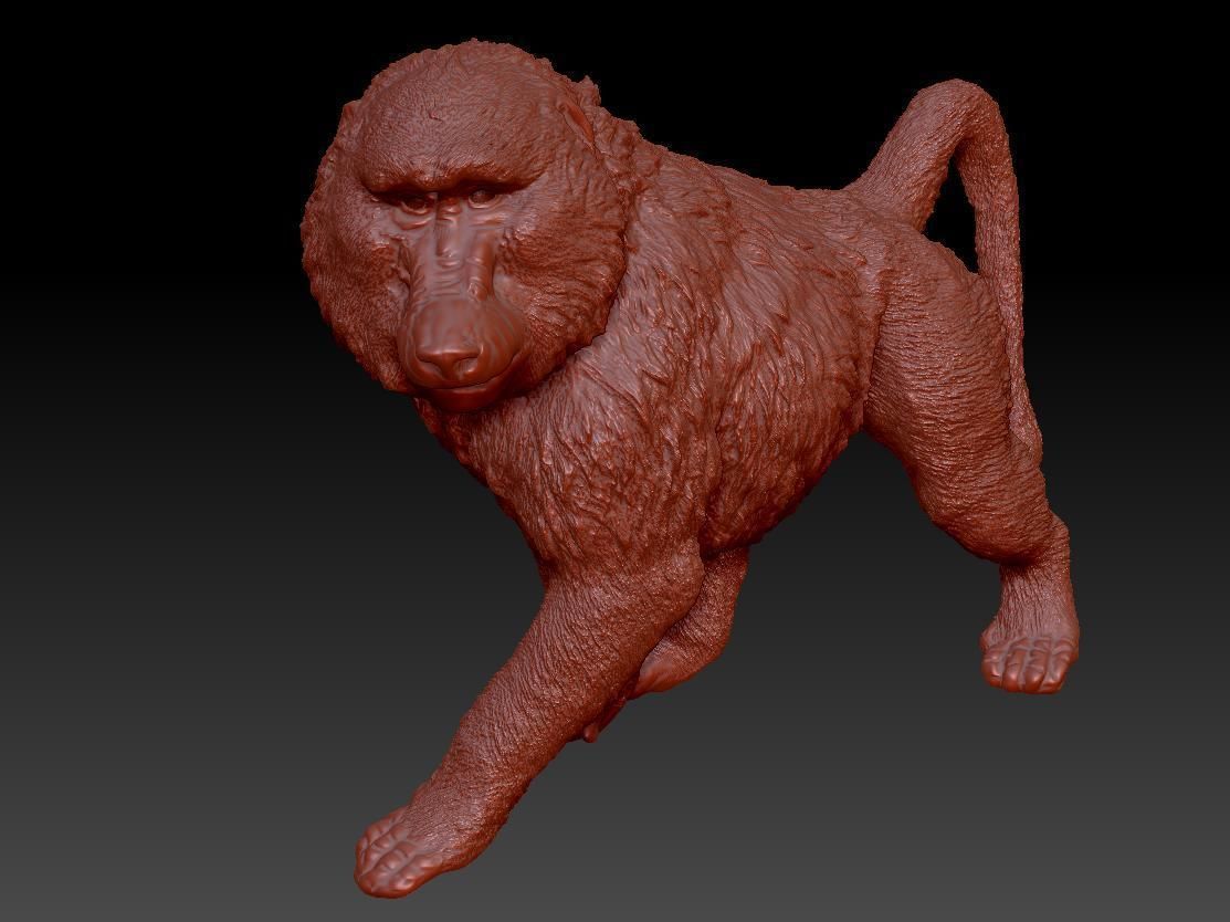Deco Figurine Monkey Walking Baboon XL 3D model_13