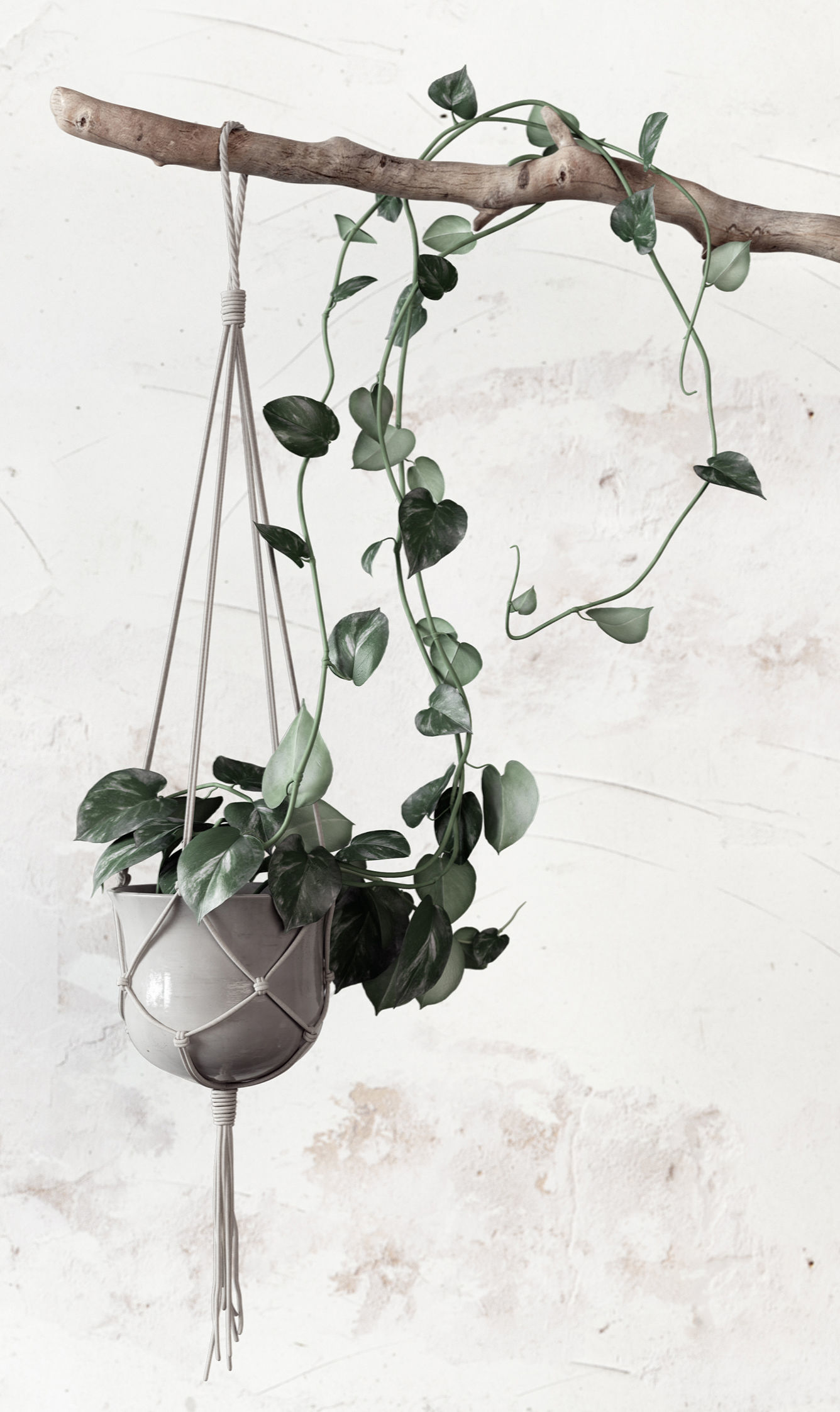 Plant Set in pot 3D model_3