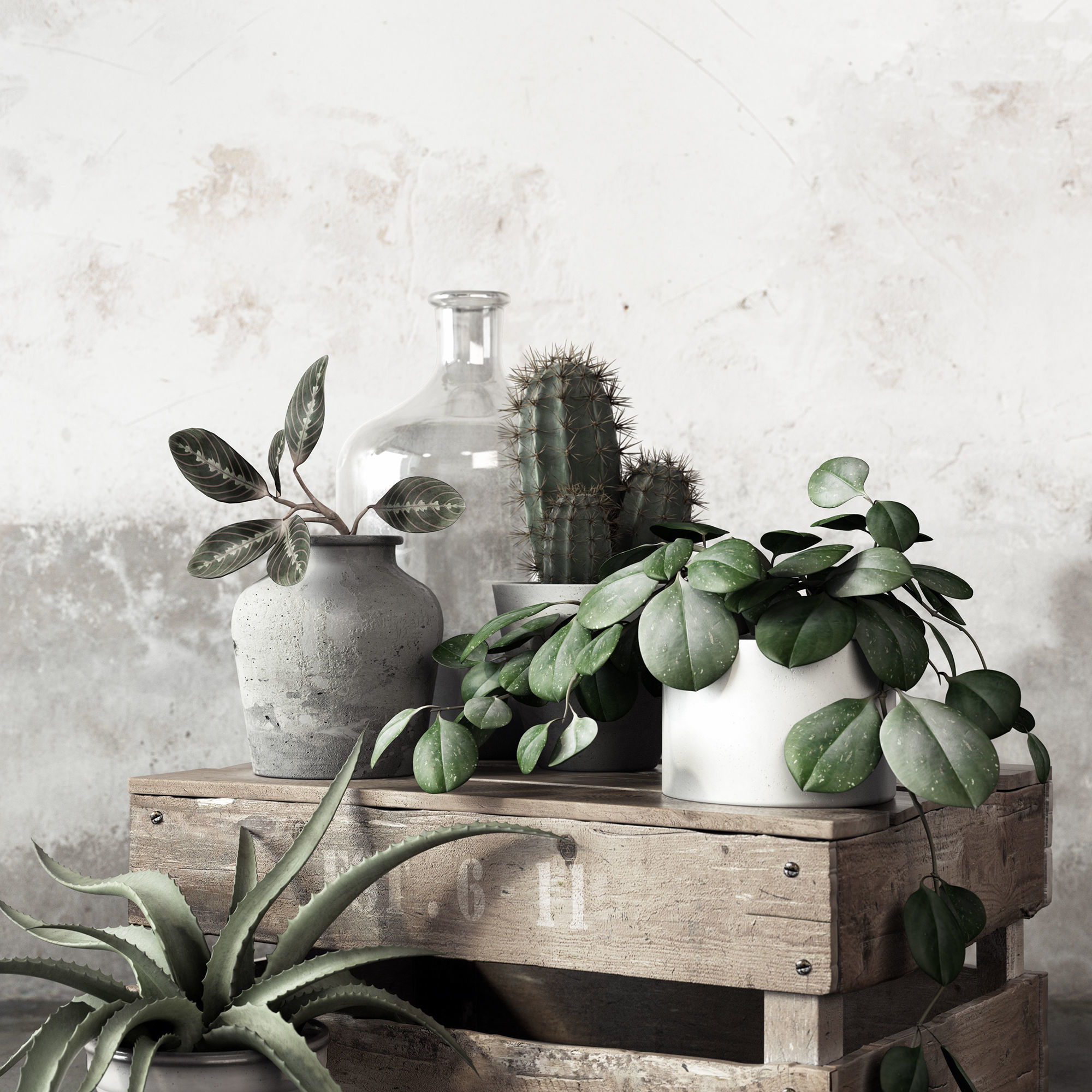 Plant Set in pot 3D model_2