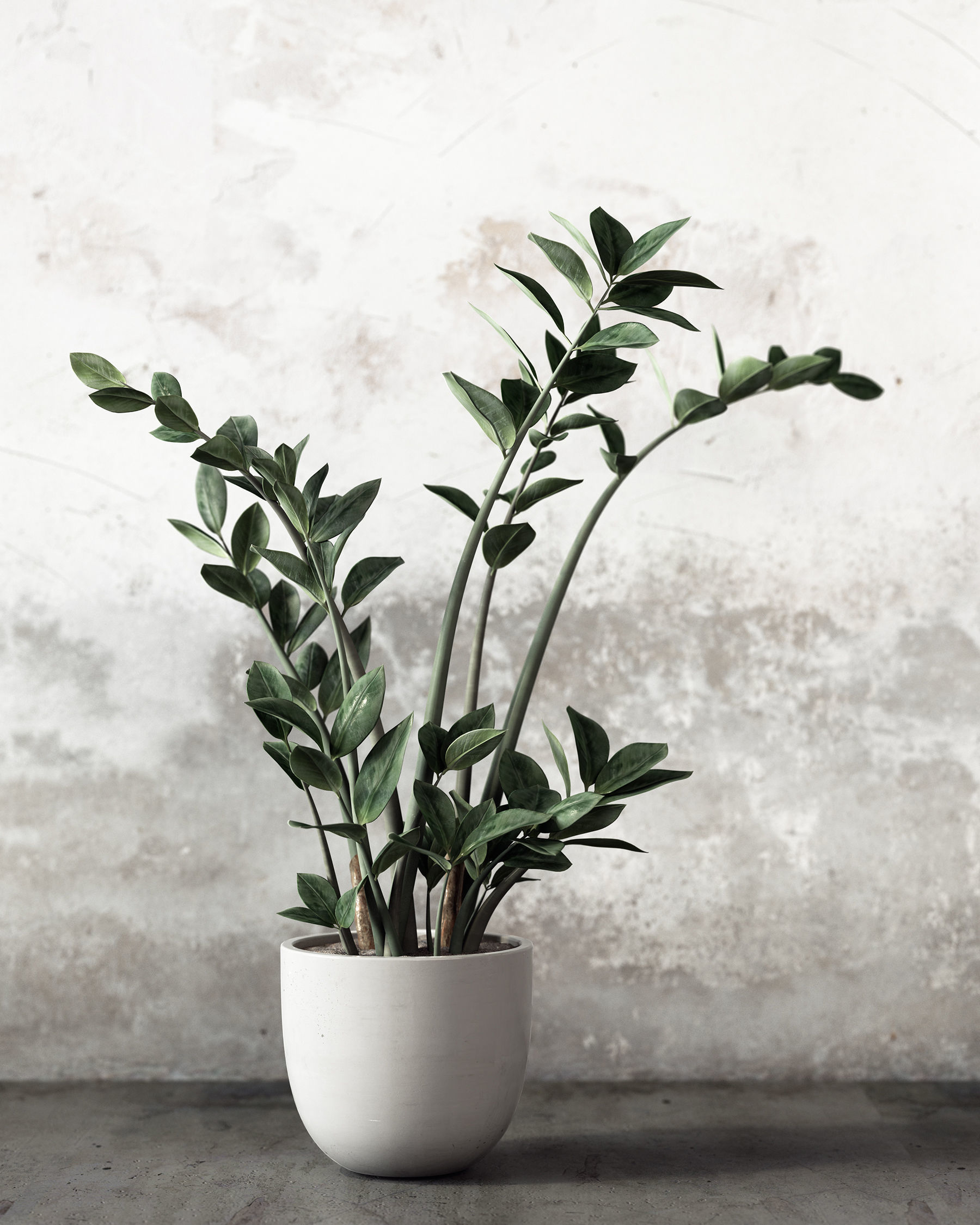 Plant Set in pot 3D model_1