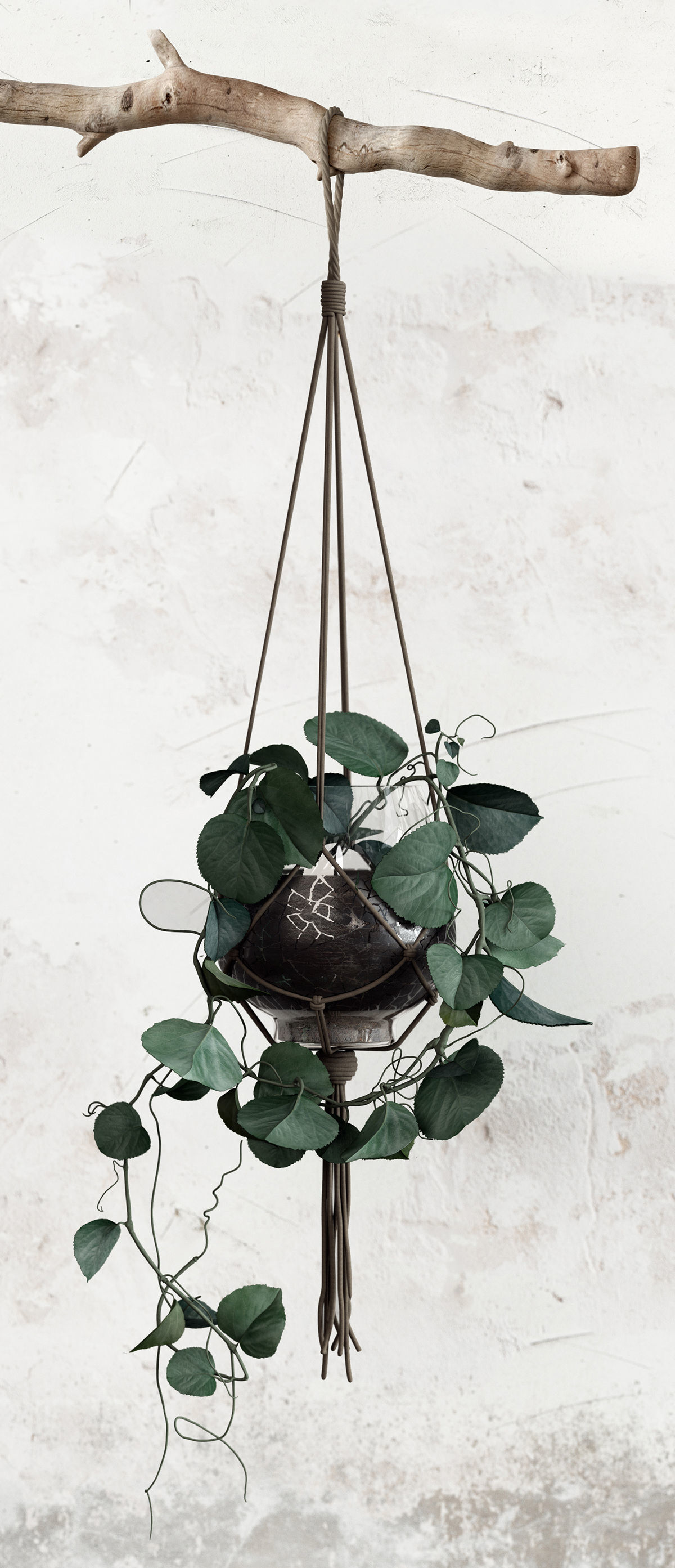 Plant Set in pot 3D model_4