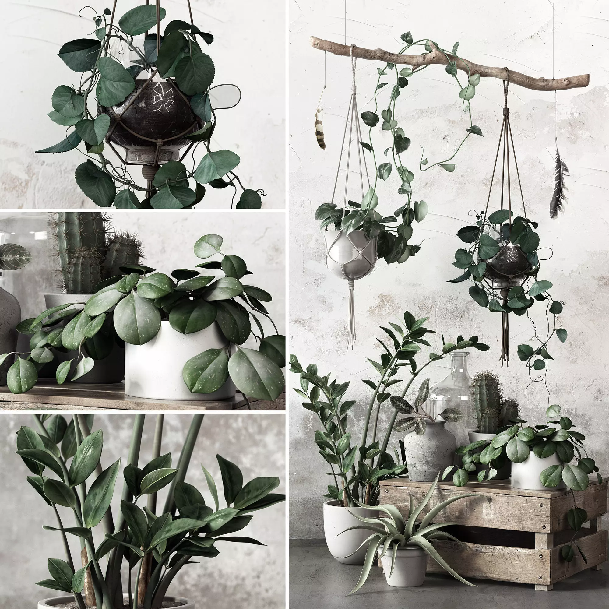 Plant Set in pot 3D model_0