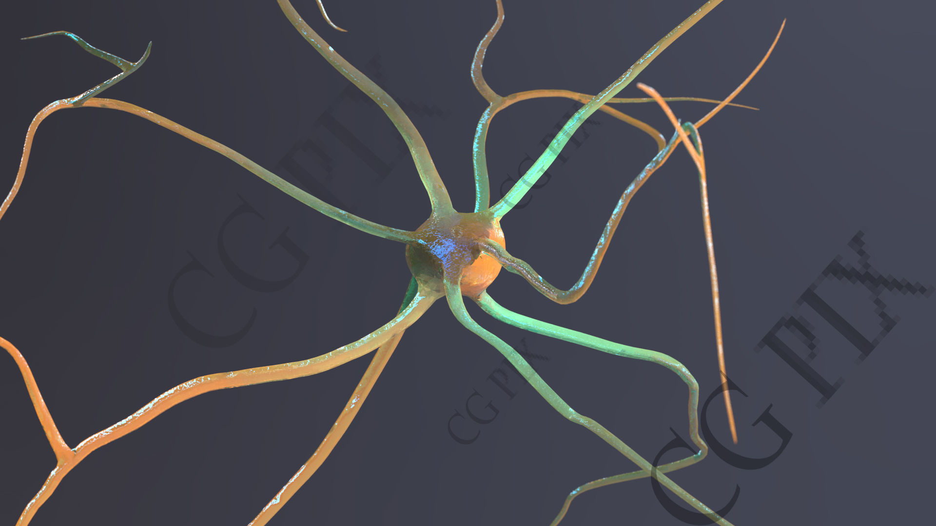 Neuron 3D close up of 3D model_13