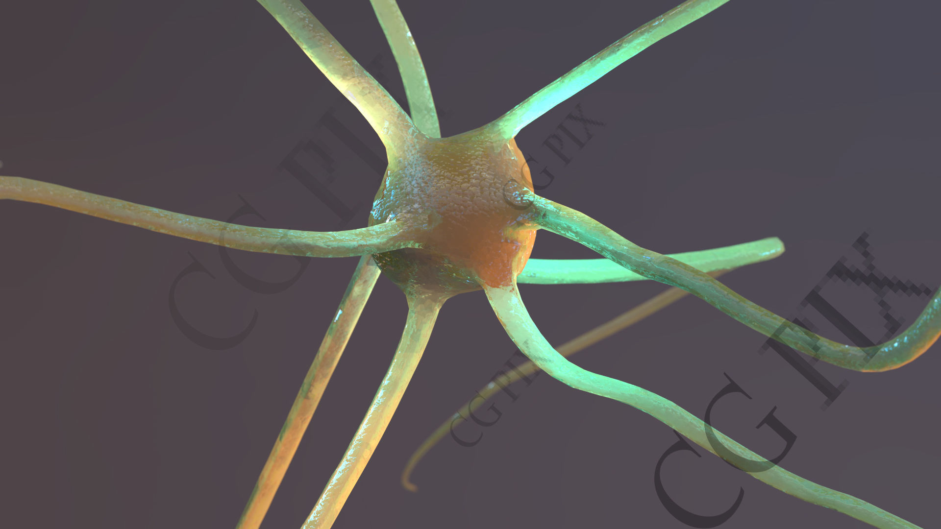 Neuron 3D close up of 3D model_2