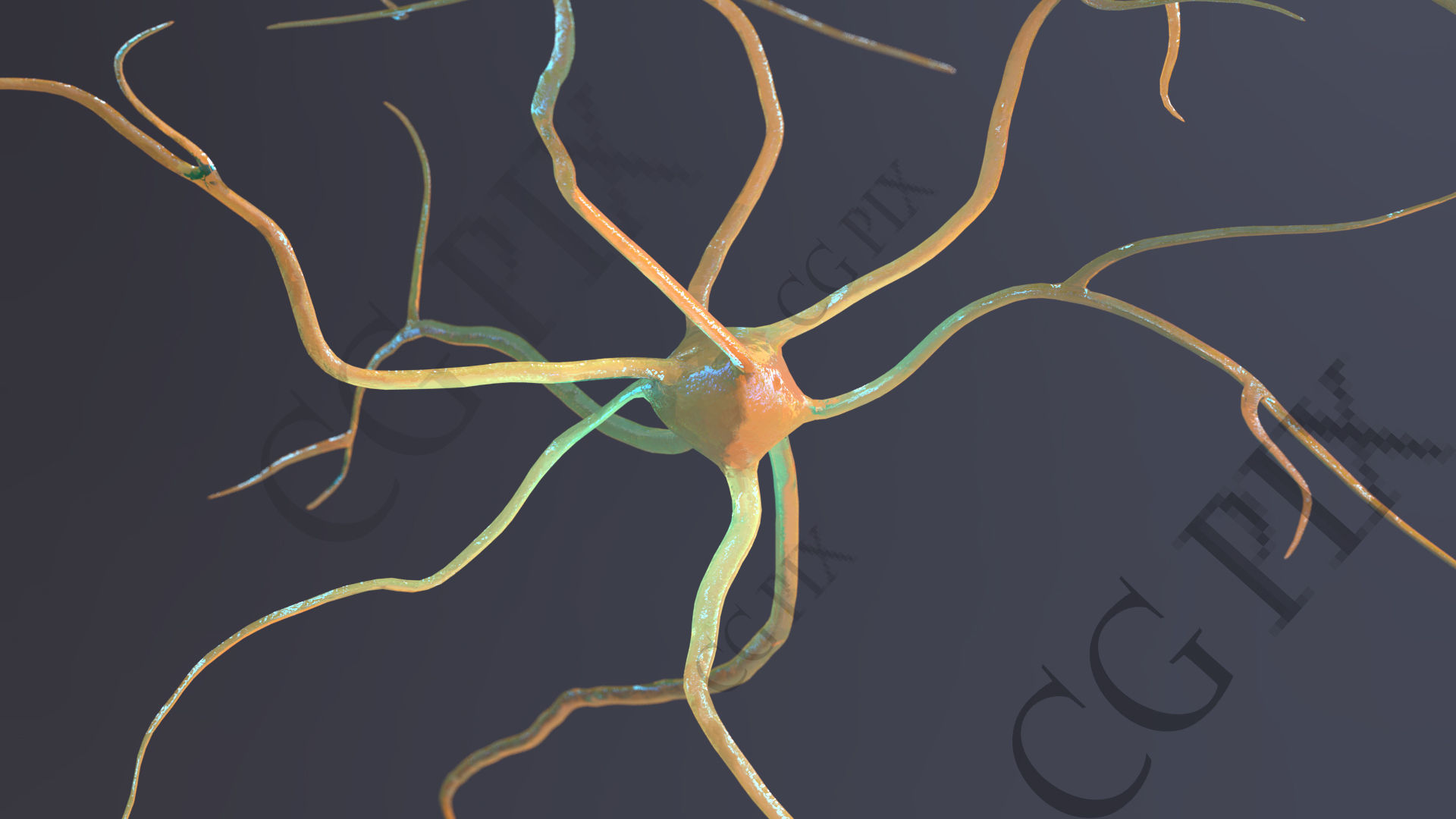 Neuron 3D close up of 3D model_9
