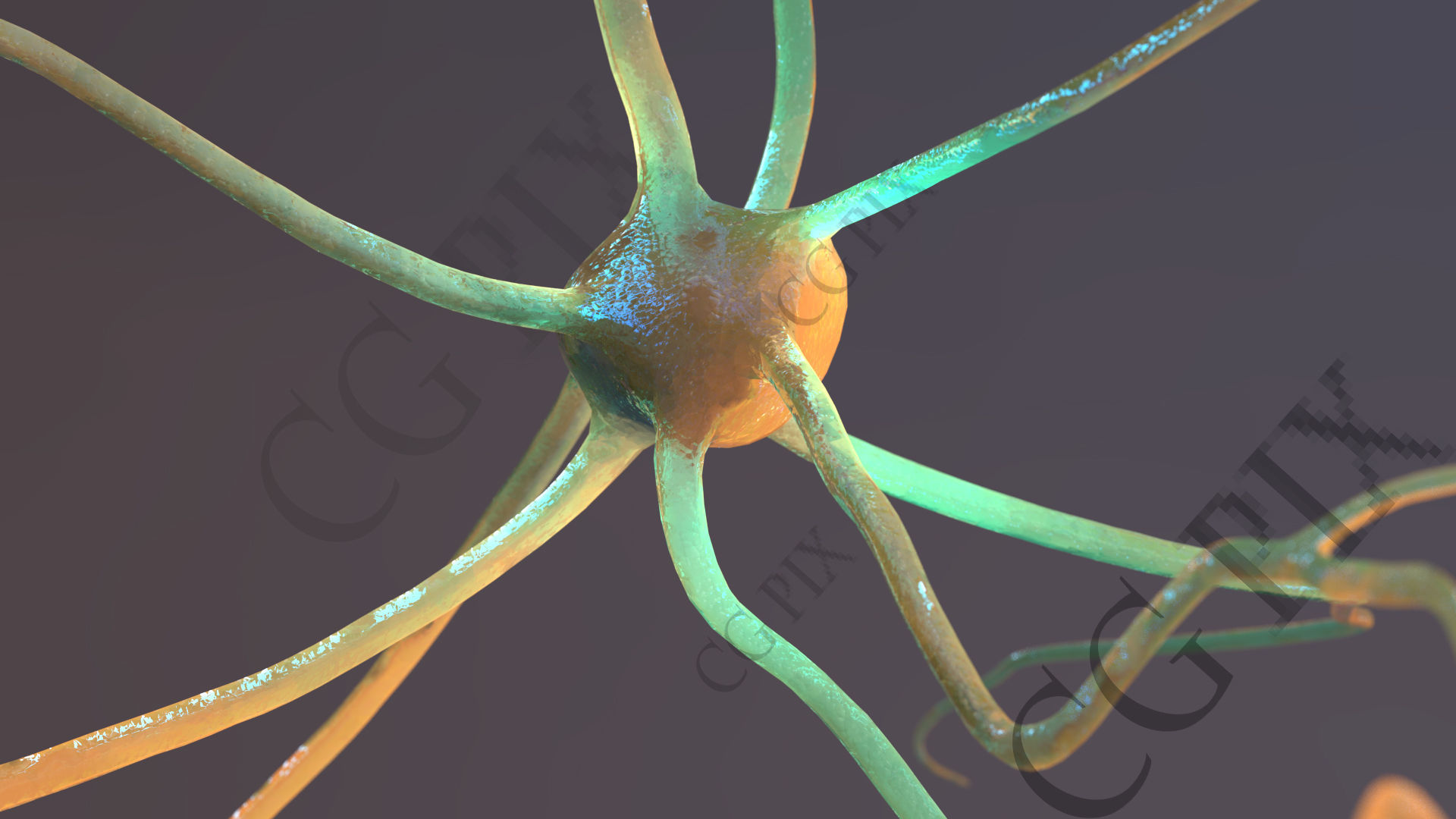 Neuron 3D close up of 3D model_14