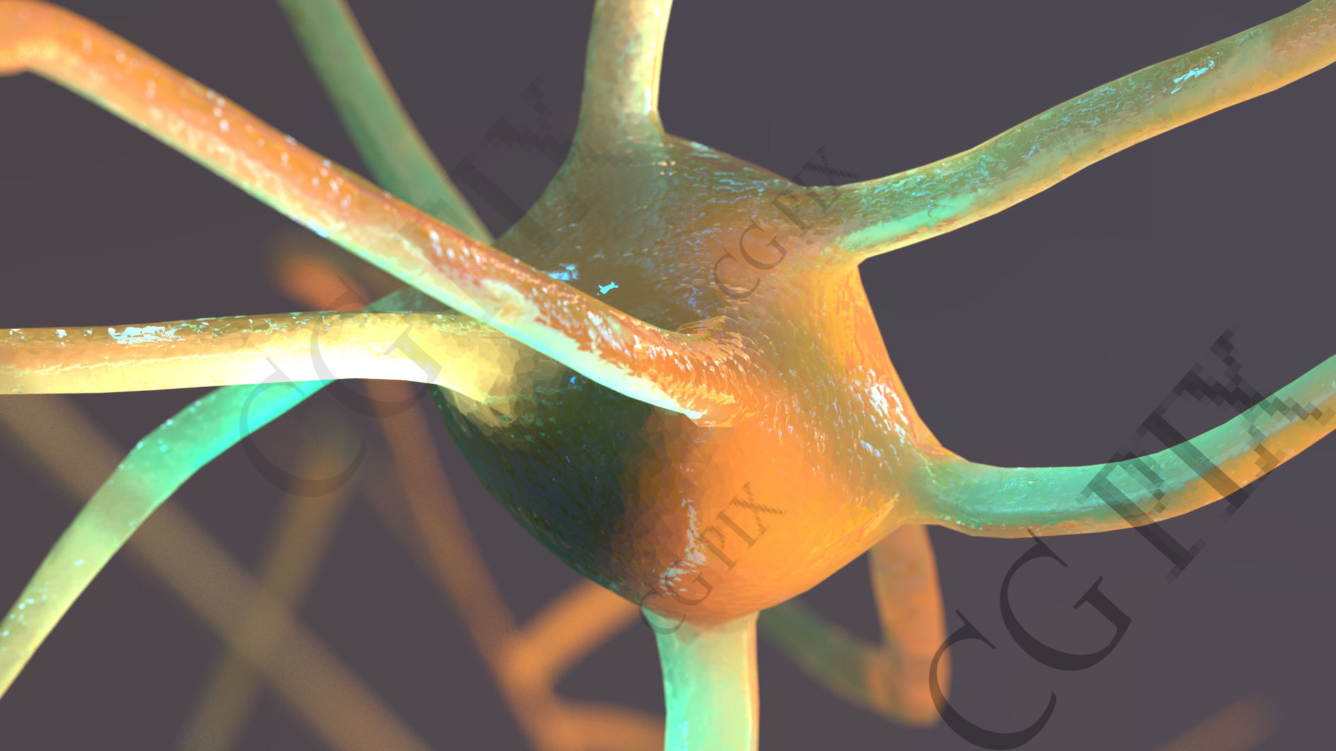 Neuron 3D close up of 3D model_4