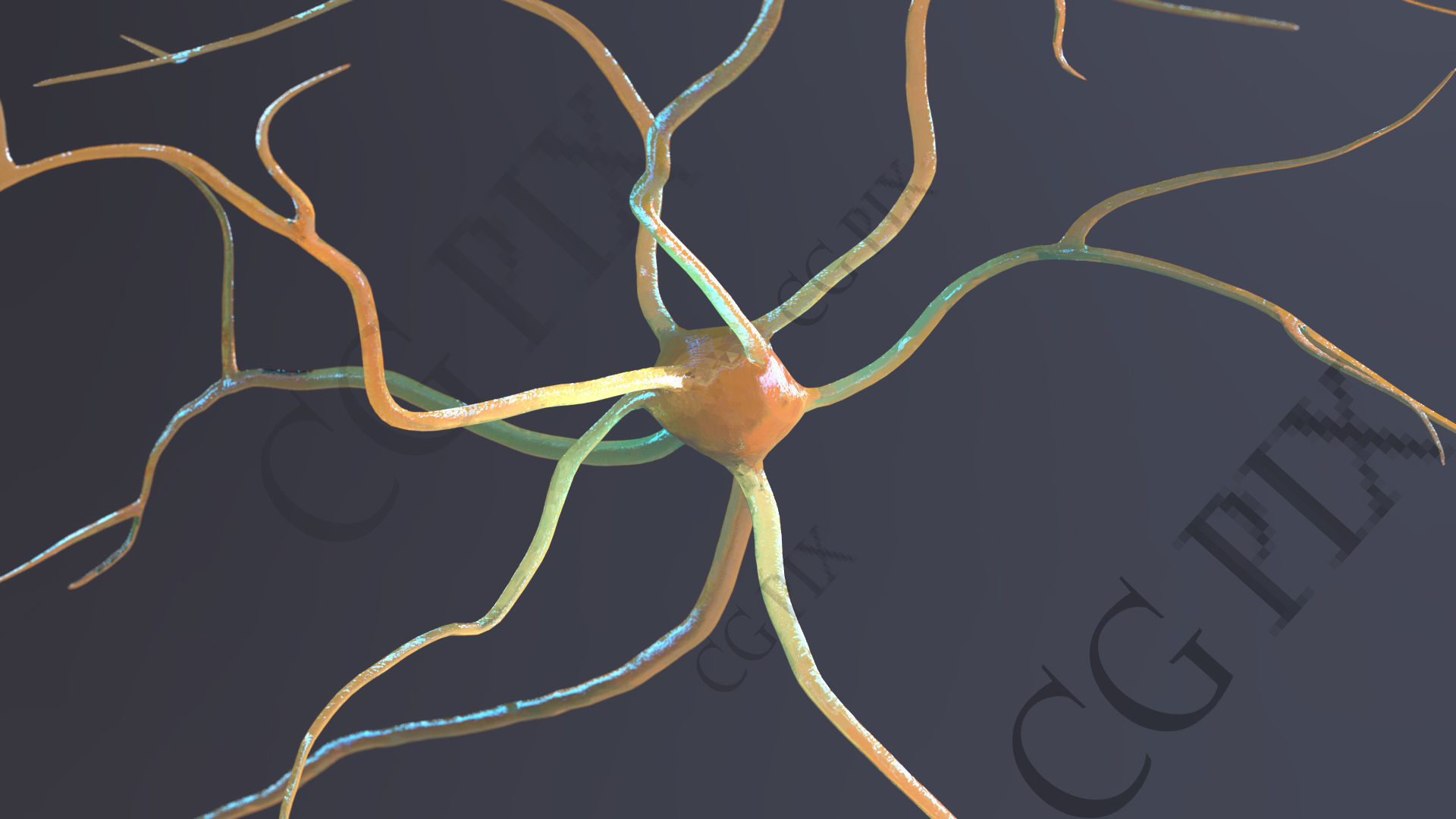Neuron 3D close up of 3D model_11