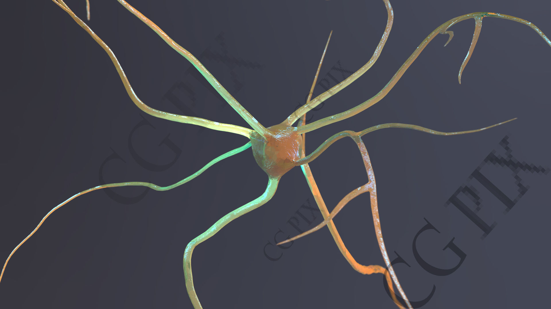 Neuron 3D close up of 3D model_7