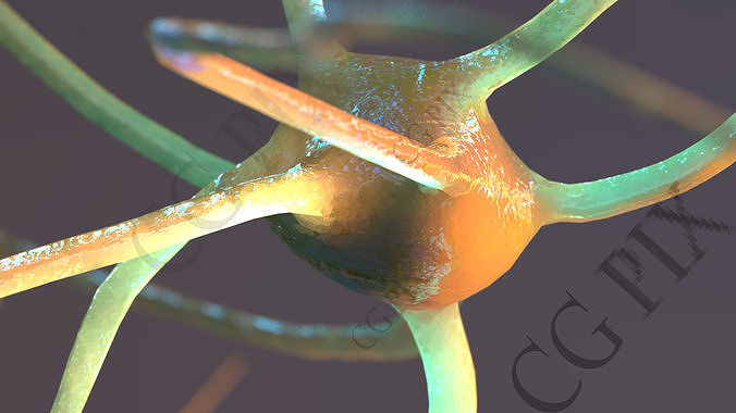 Neuron 3D close up of 3D model