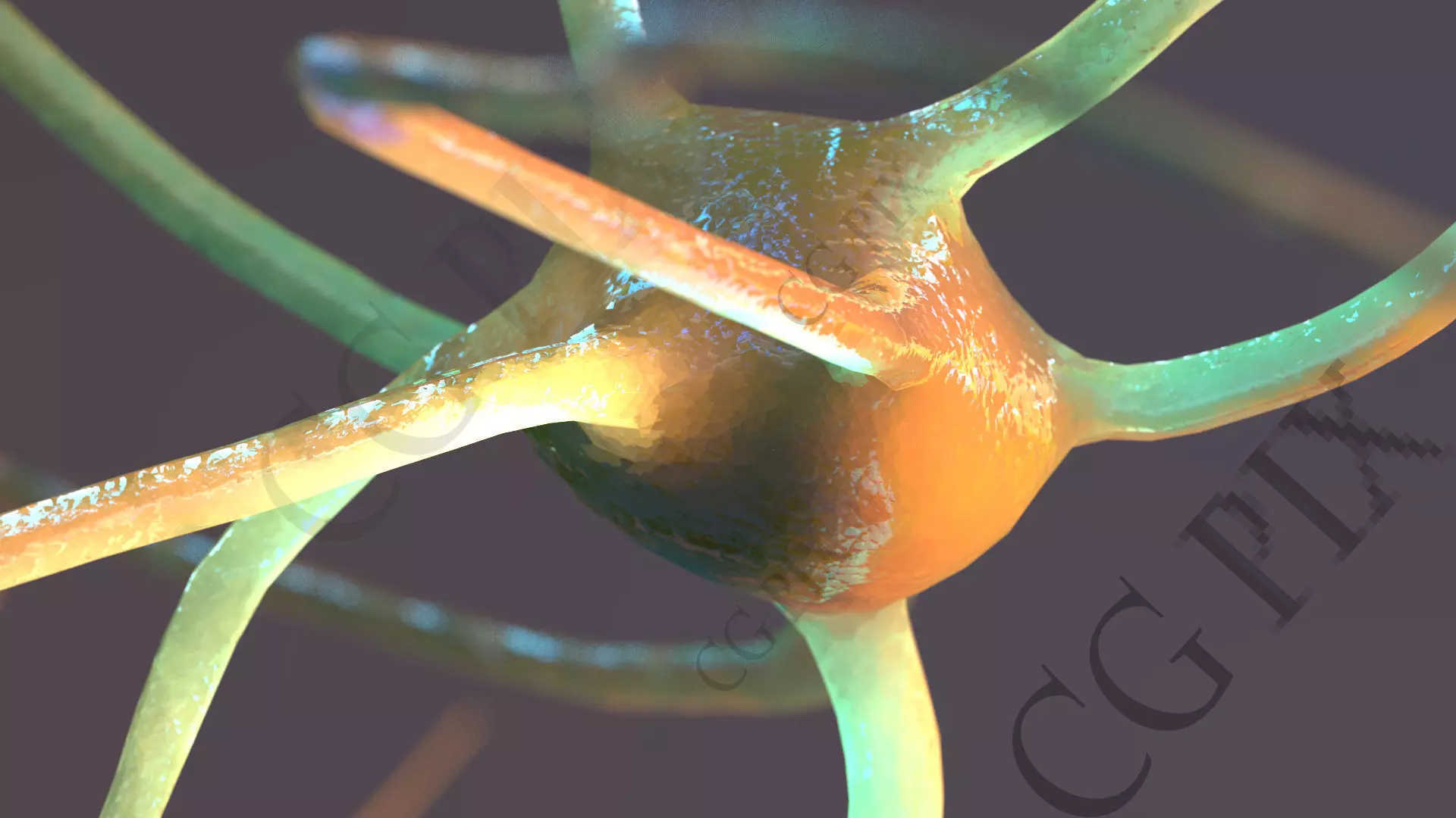 Neuron 3D close up of 3D model_0