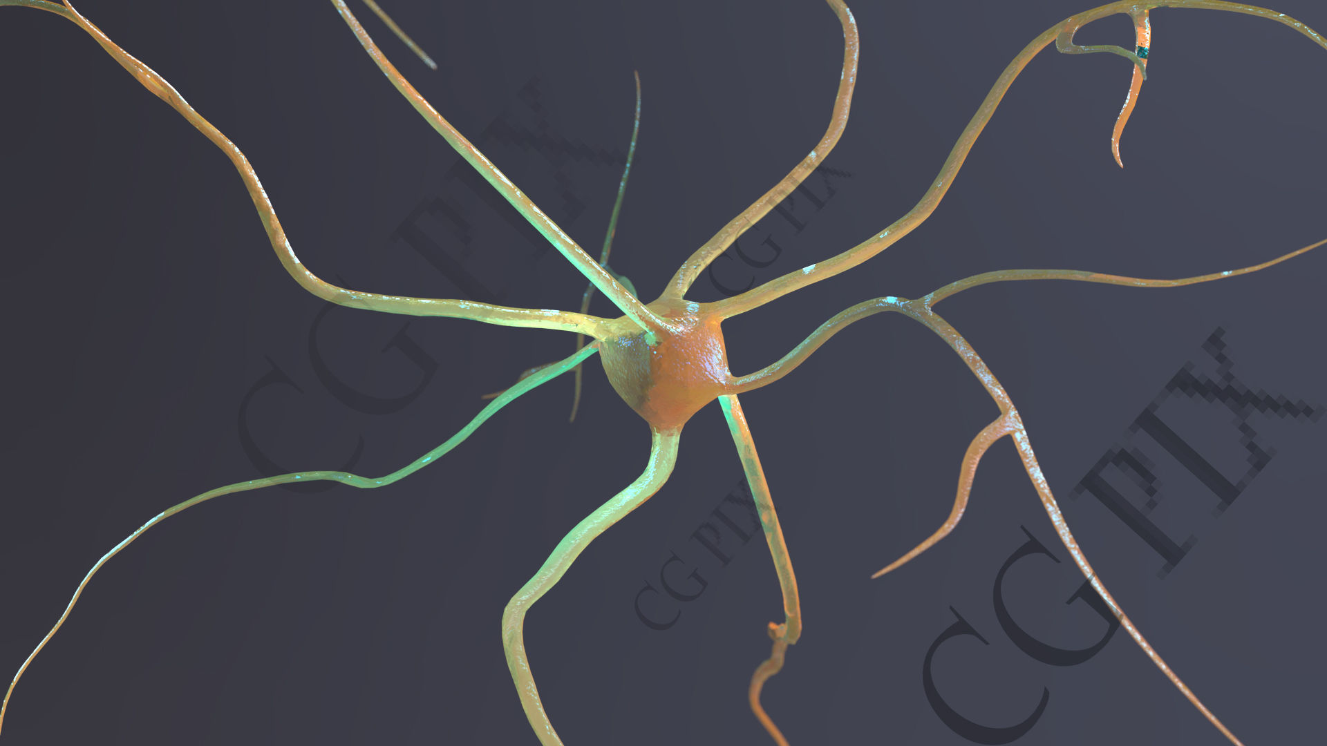 Neuron 3D close up of 3D model_8