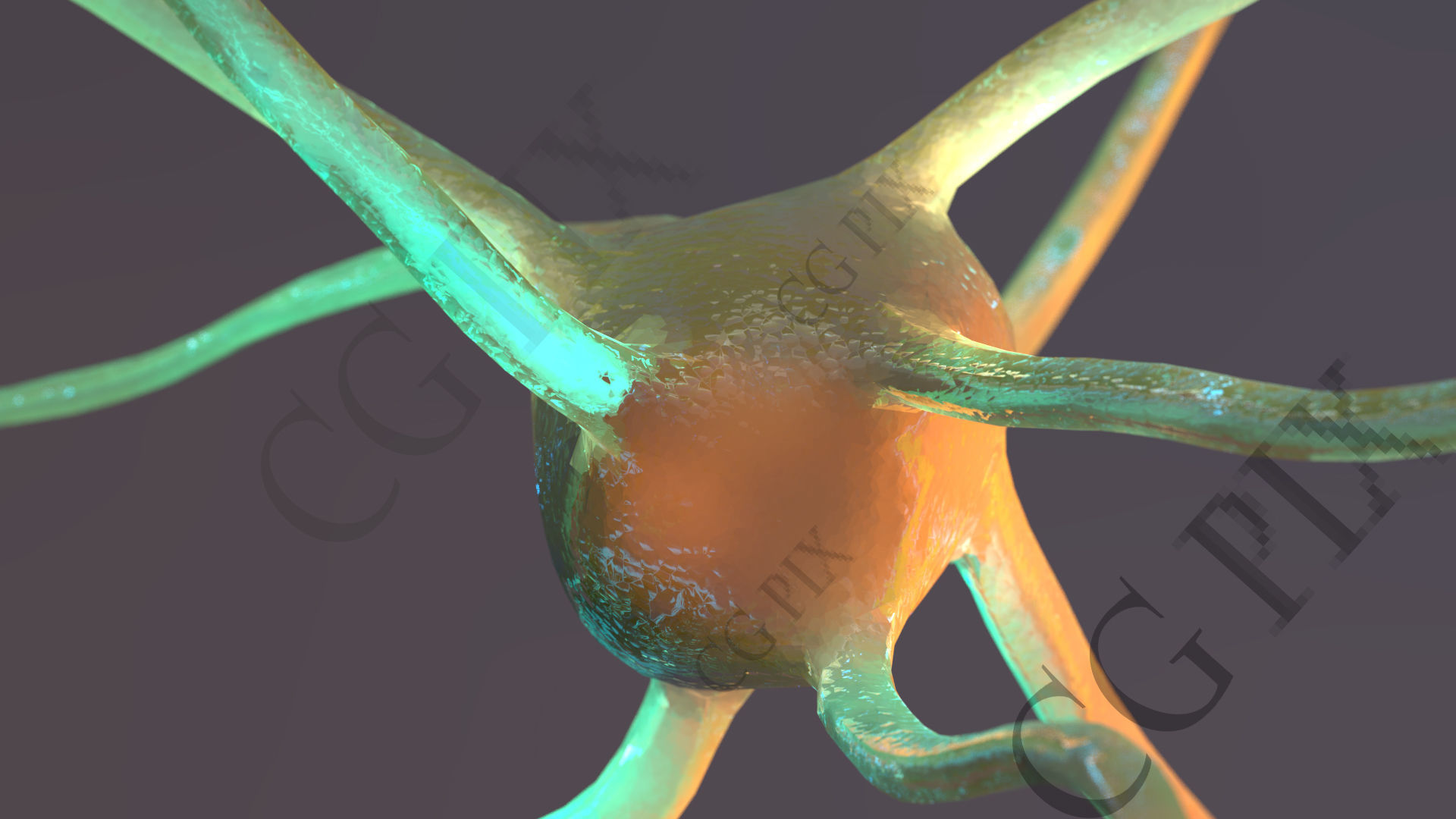 Neuron 3D close up of 3D model_5