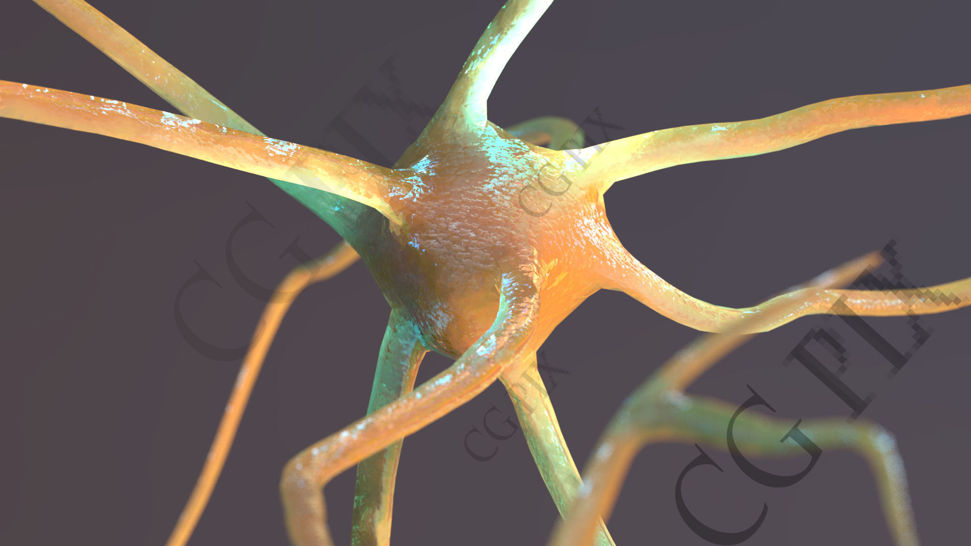 Neuron 3D close up of 3D model_3