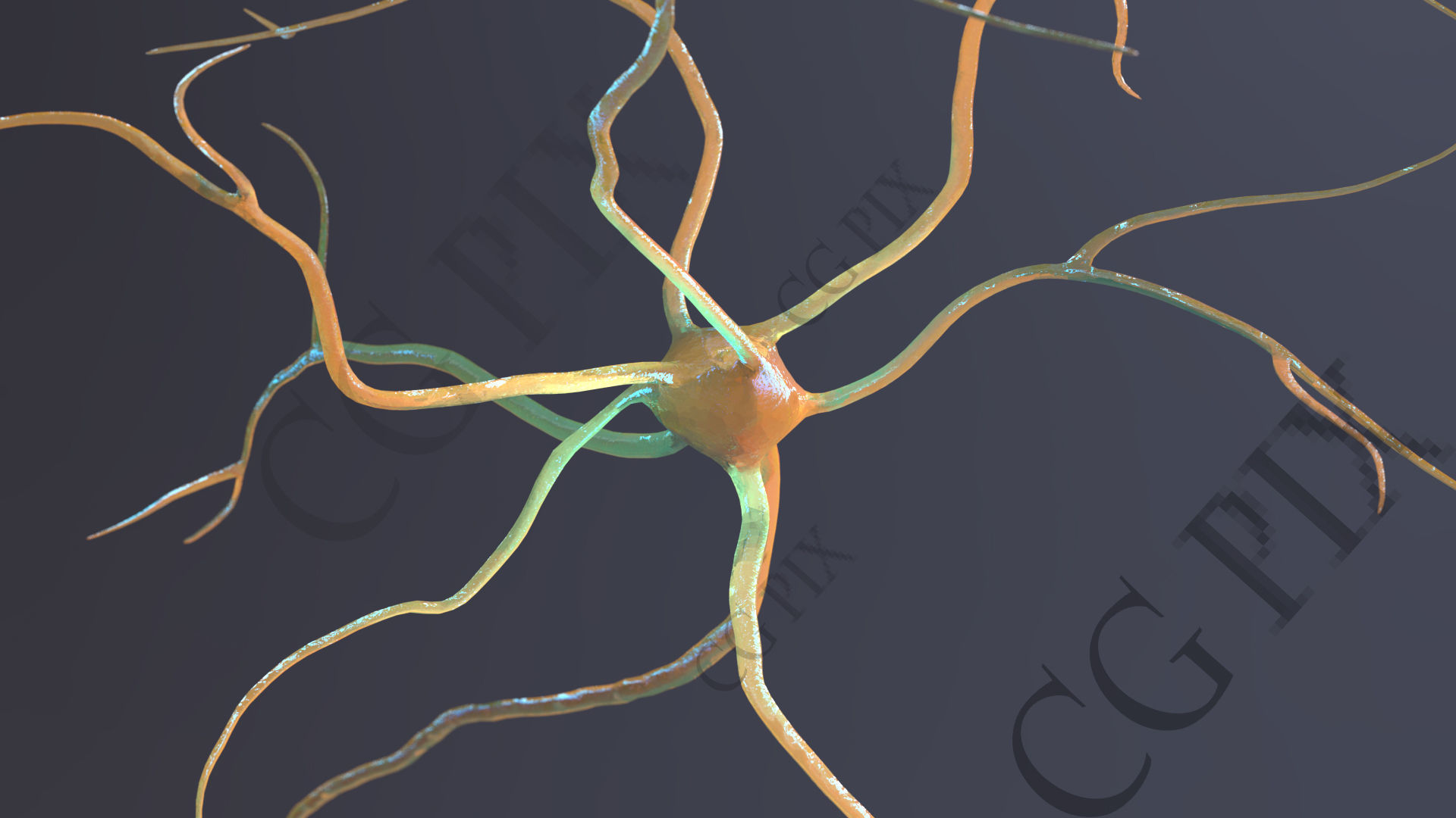 Neuron 3D close up of 3D model_10