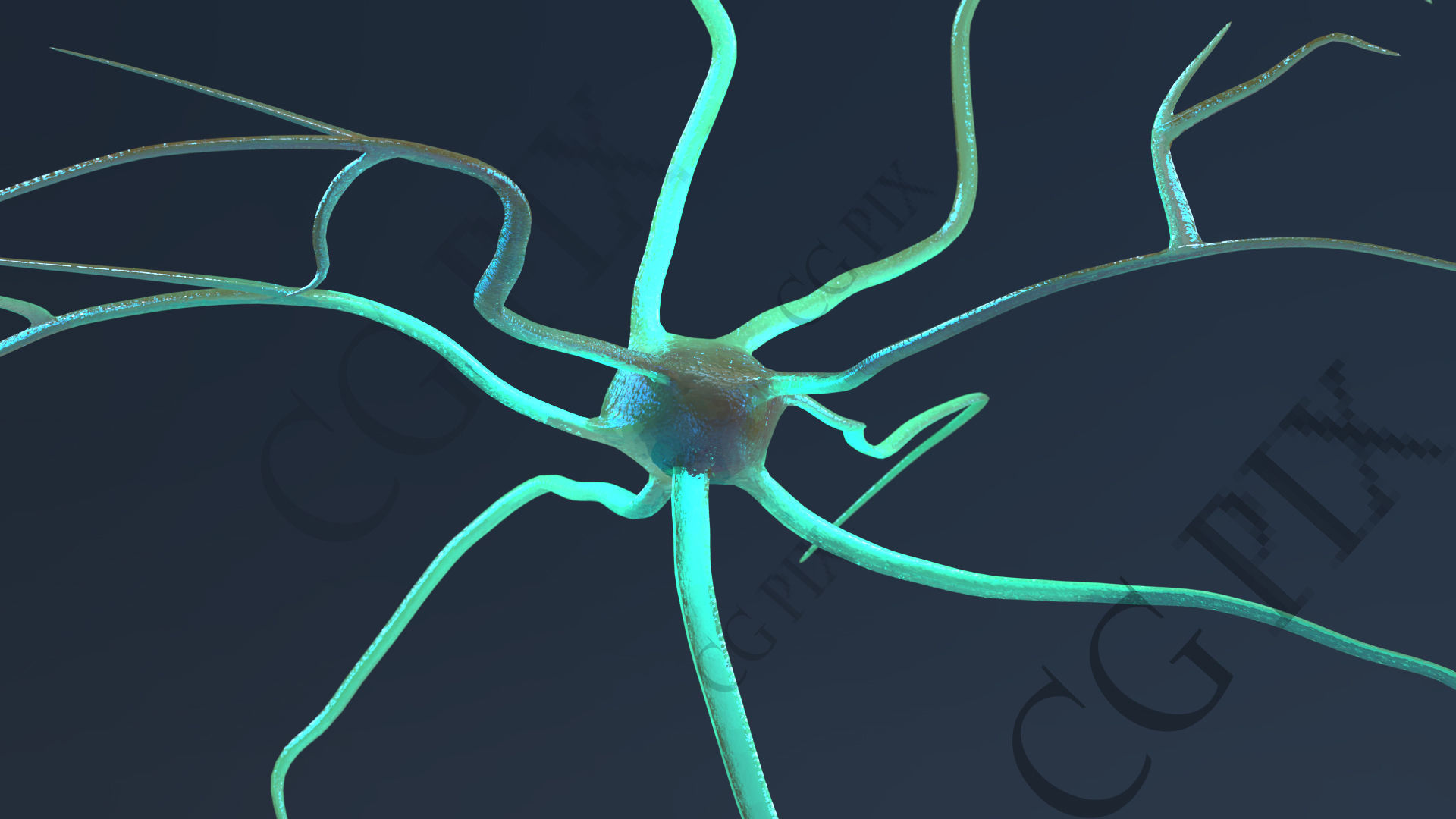 Neuron 3D close up of 3D model_1