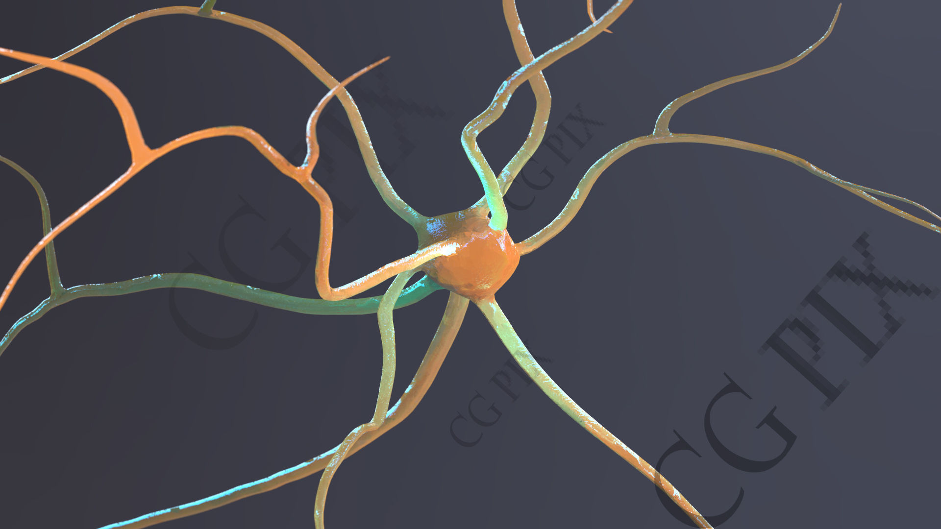 Neuron 3D close up of 3D model_12