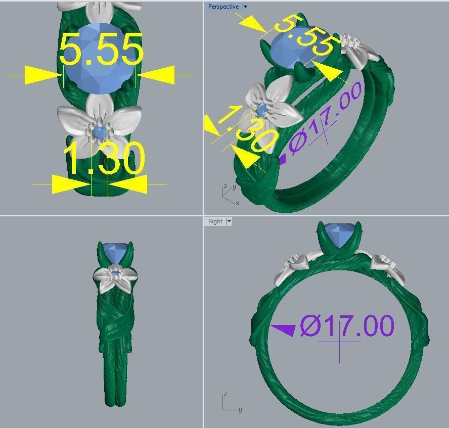 Ring 40 3D print model_4