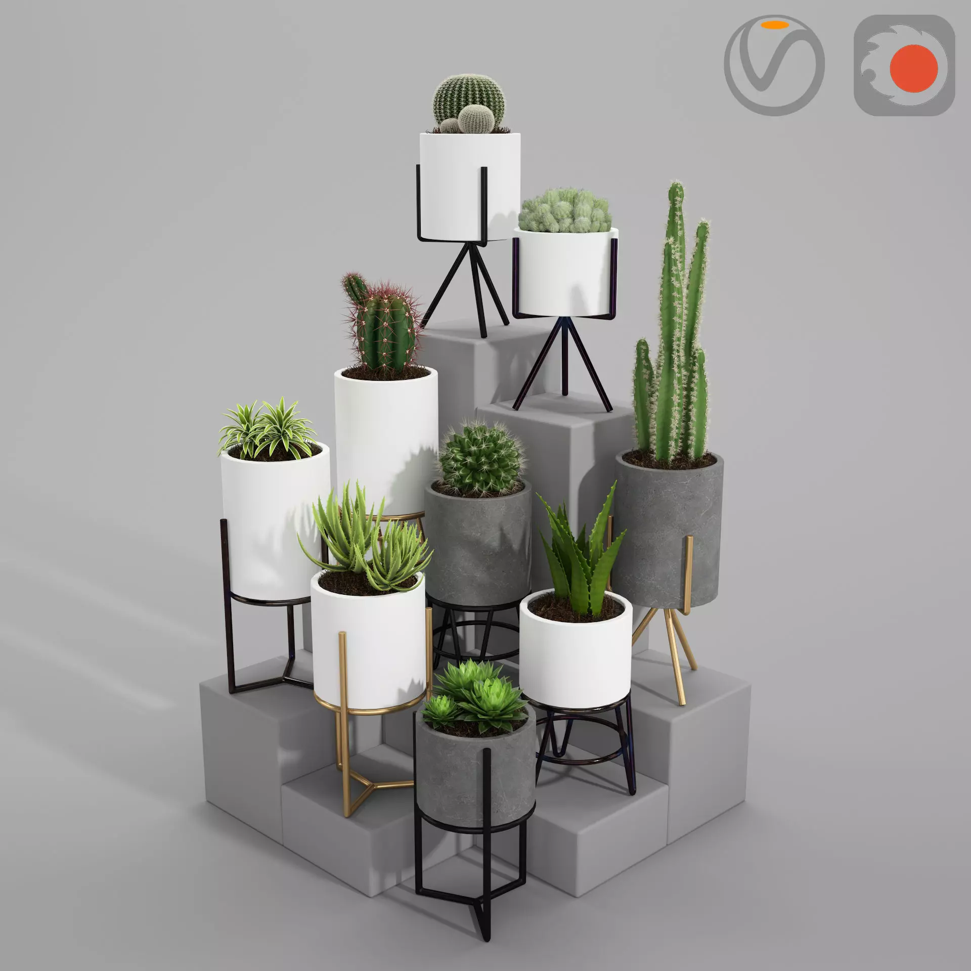 PLANT MODEL 3 cactus pots in shapes and sizes 3D model_0