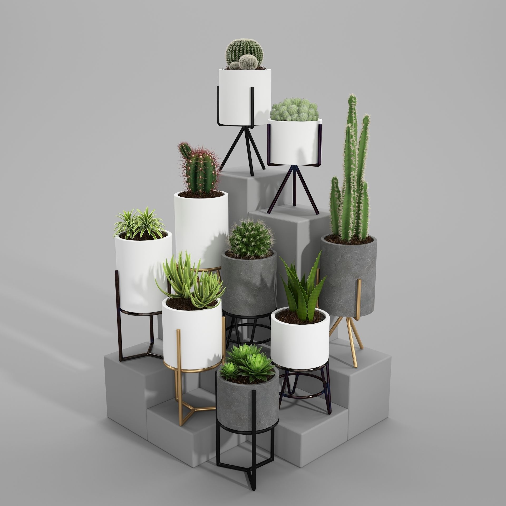 PLANT MODEL 3 cactus pots in shapes and sizes 3D model_5