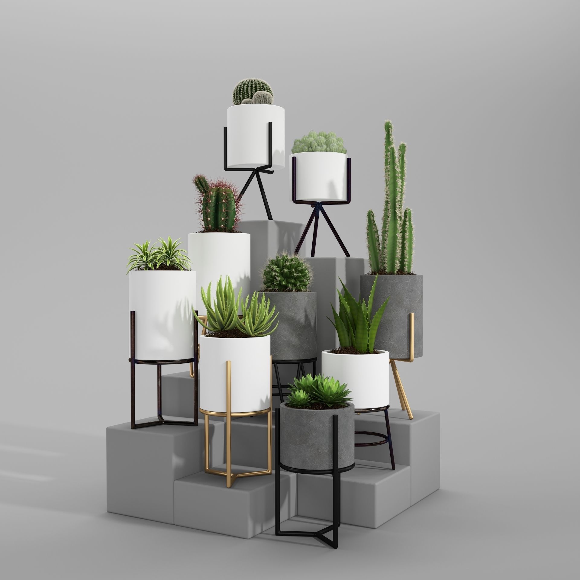PLANT MODEL 3 cactus pots in shapes and sizes 3D model_3