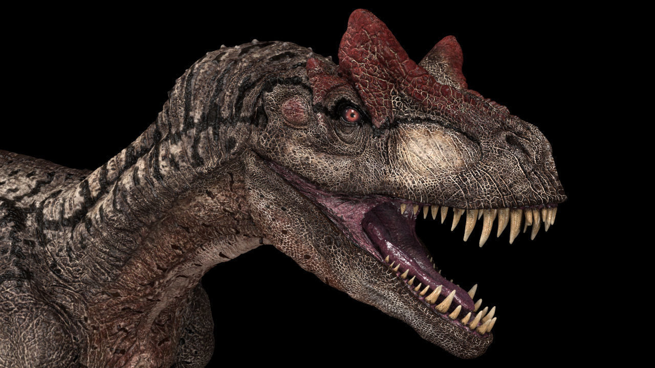 Allosaurus Animated 3D model_8