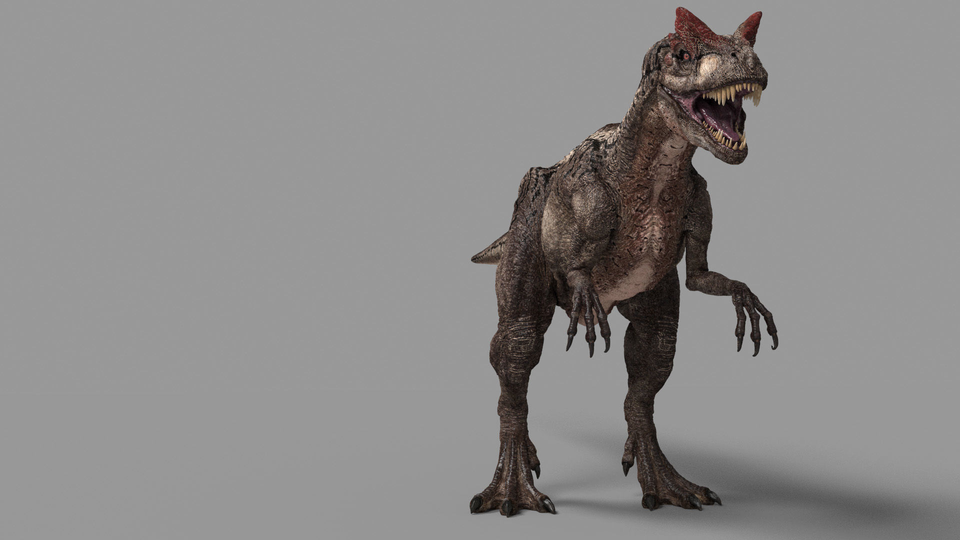 Allosaurus Animated 3D model_3