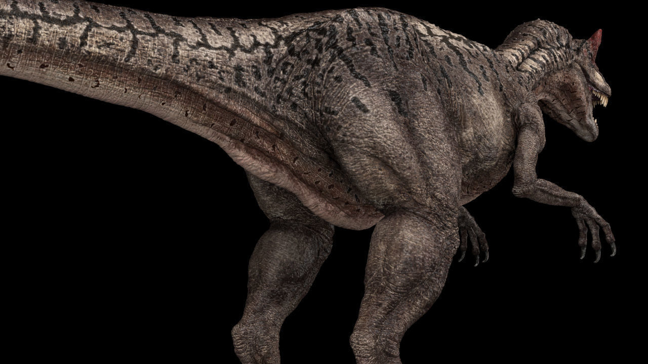 Allosaurus Animated 3D model_10