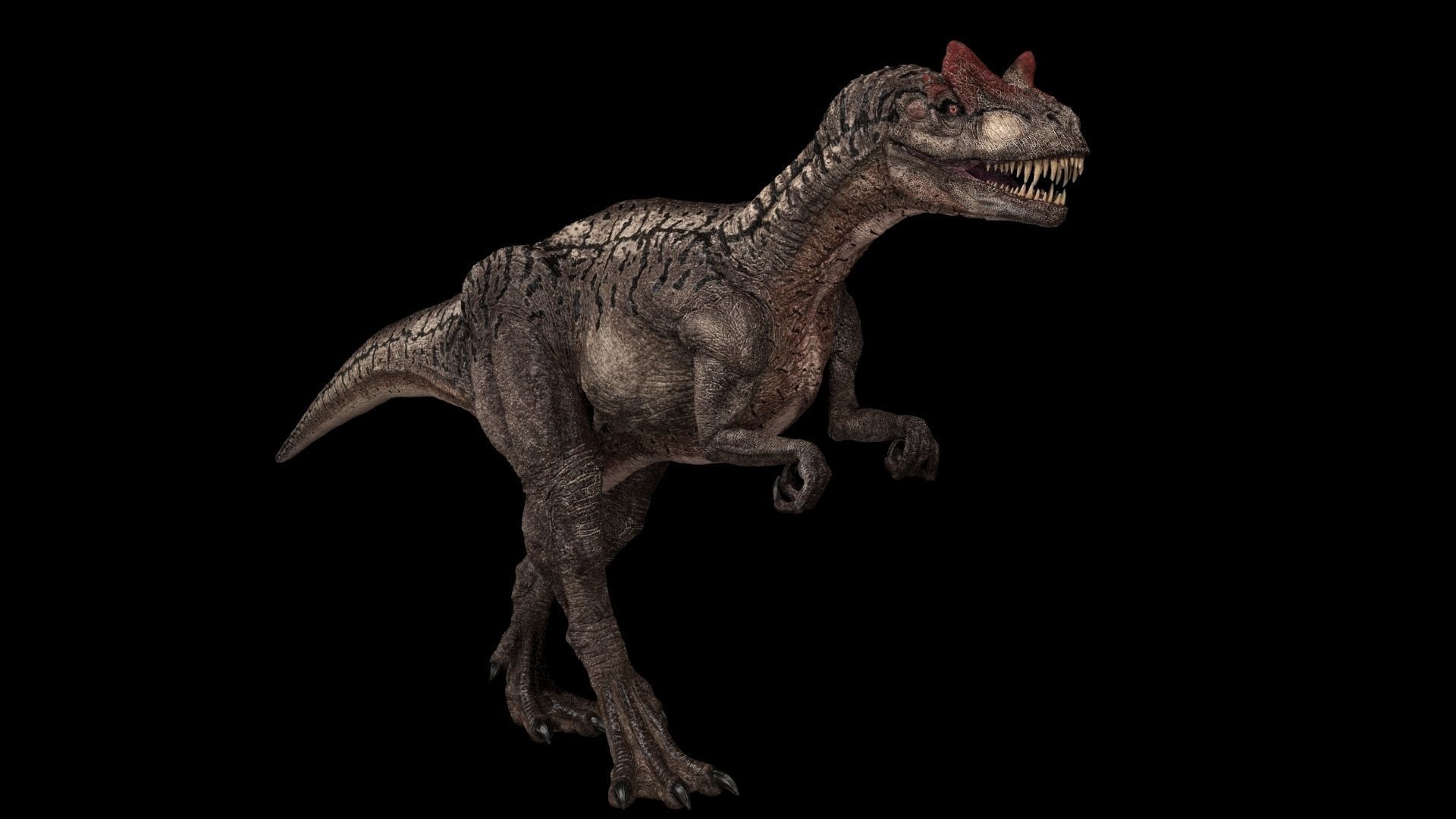 Allosaurus Animated 3D model_6