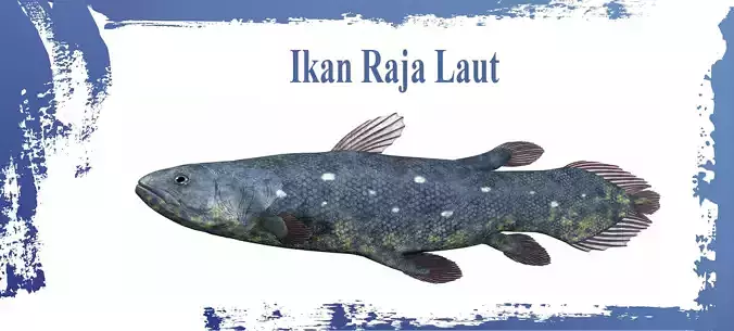 Coelacanth Fish