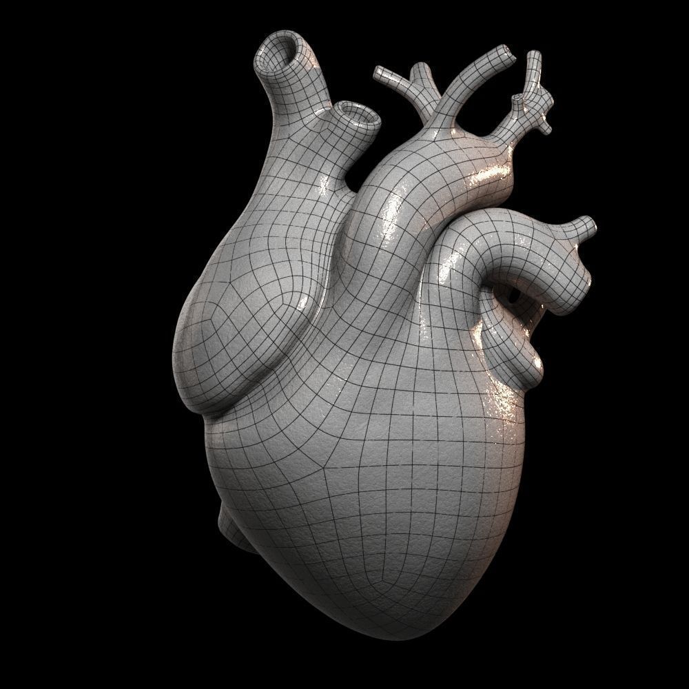Heart Realistic Production - Animated Blendshapes 3D model_12