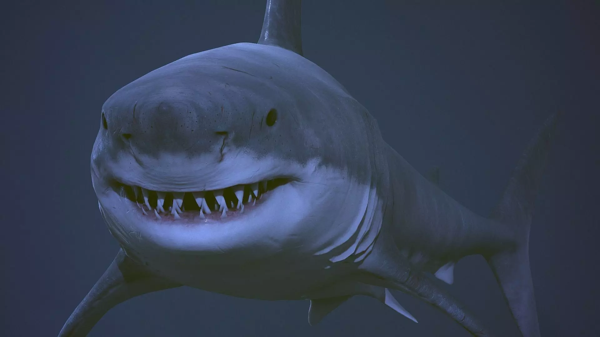 Great white shark  AAA Low-poly 3D model_0