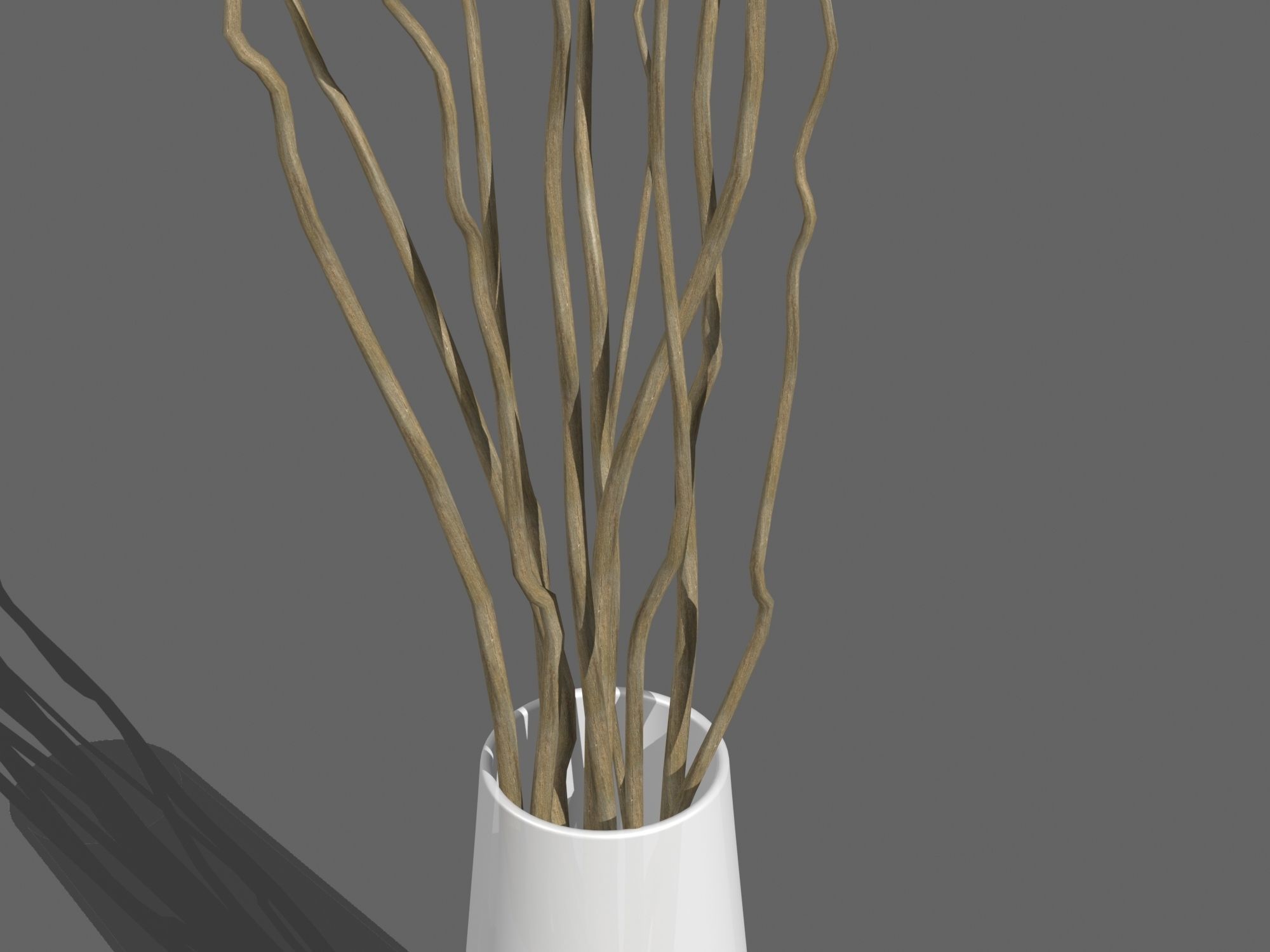 Vase With Branches 3D model_3