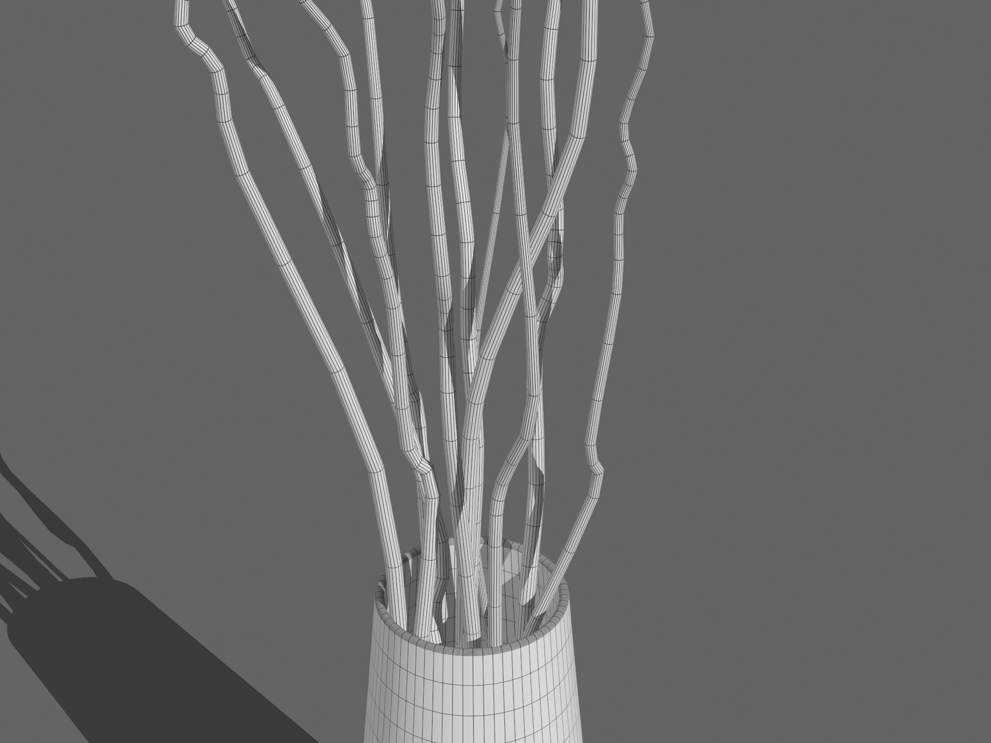 Vase With Branches 3D model_5