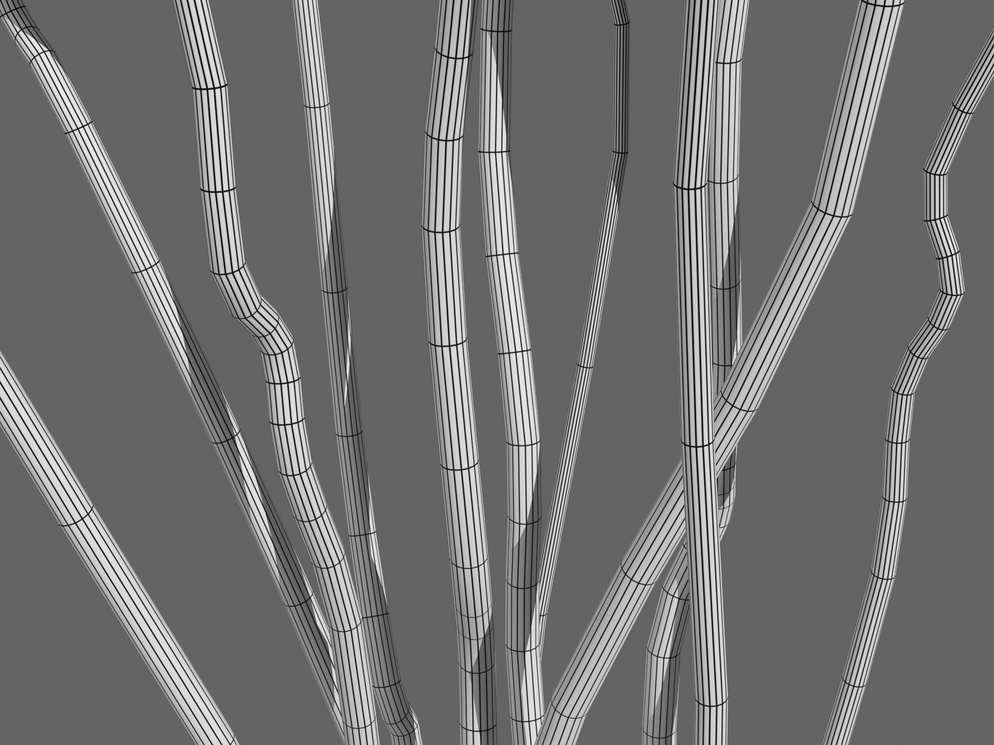 Vase With Branches 3D model_7
