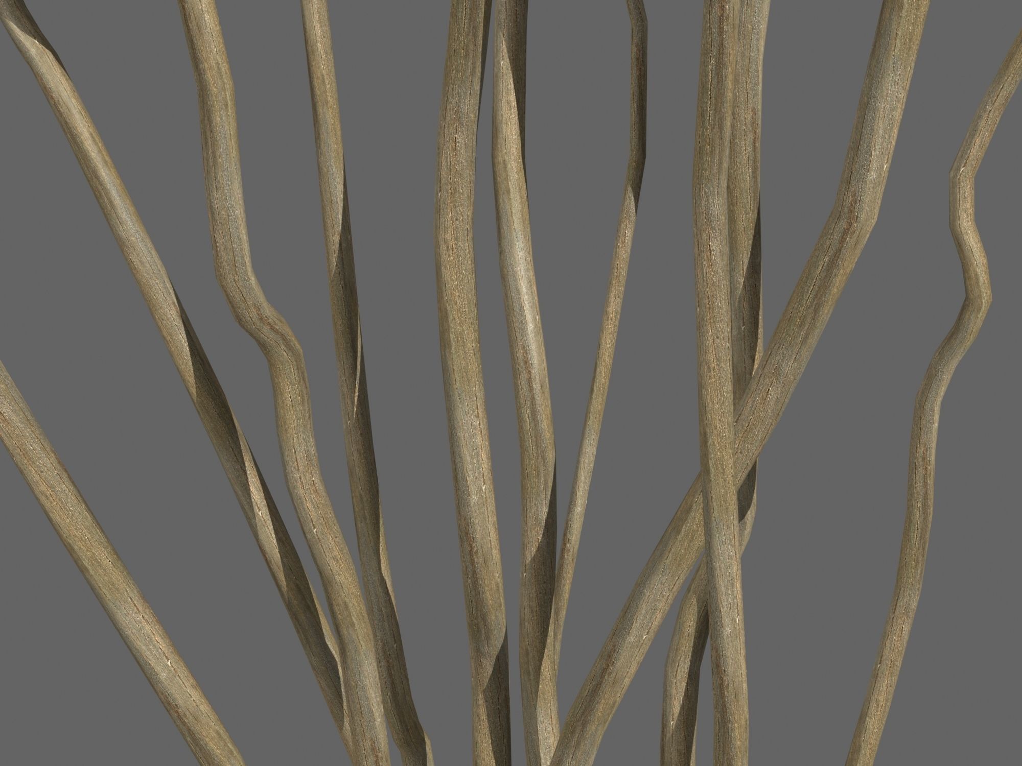 Vase With Branches 3D model_4