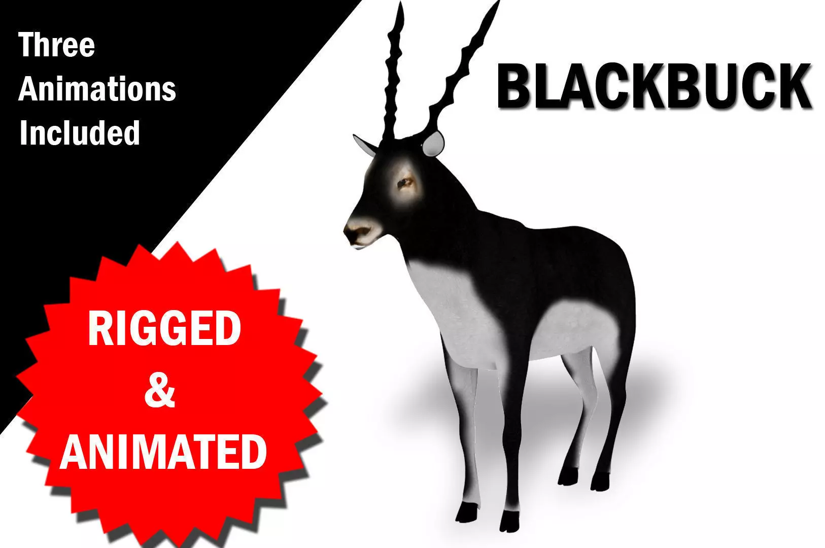 3D Blackbuck RIgged and Animated 3D model