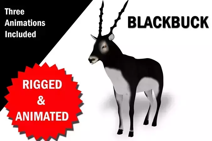 3D Blackbuck RIgged and Animated 3D model