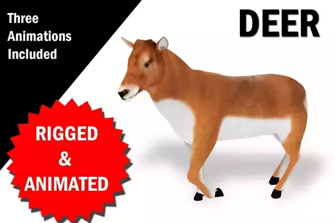 Deer Rigged and Animated 3D model