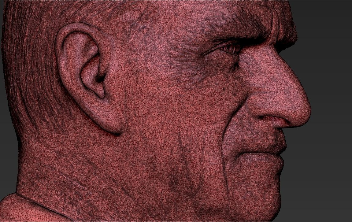 Prince Philip bust 3D printing ready stl obj formats 3D print model_29
