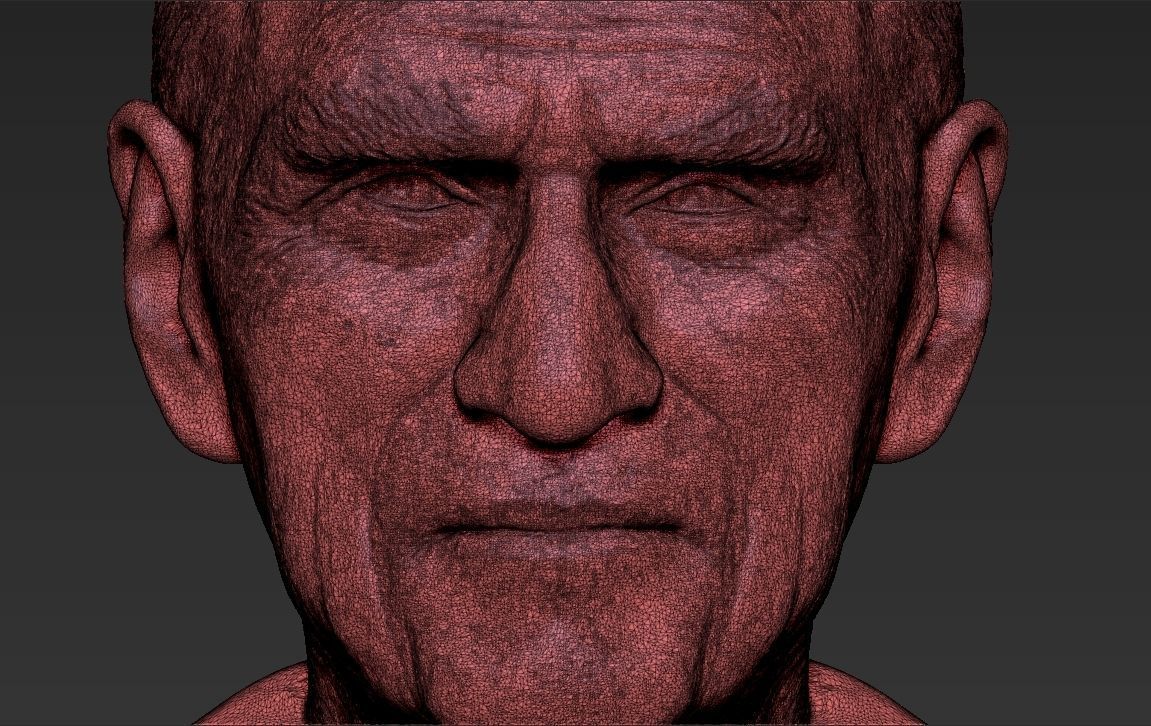Prince Philip bust 3D printing ready stl obj formats 3D print model_28