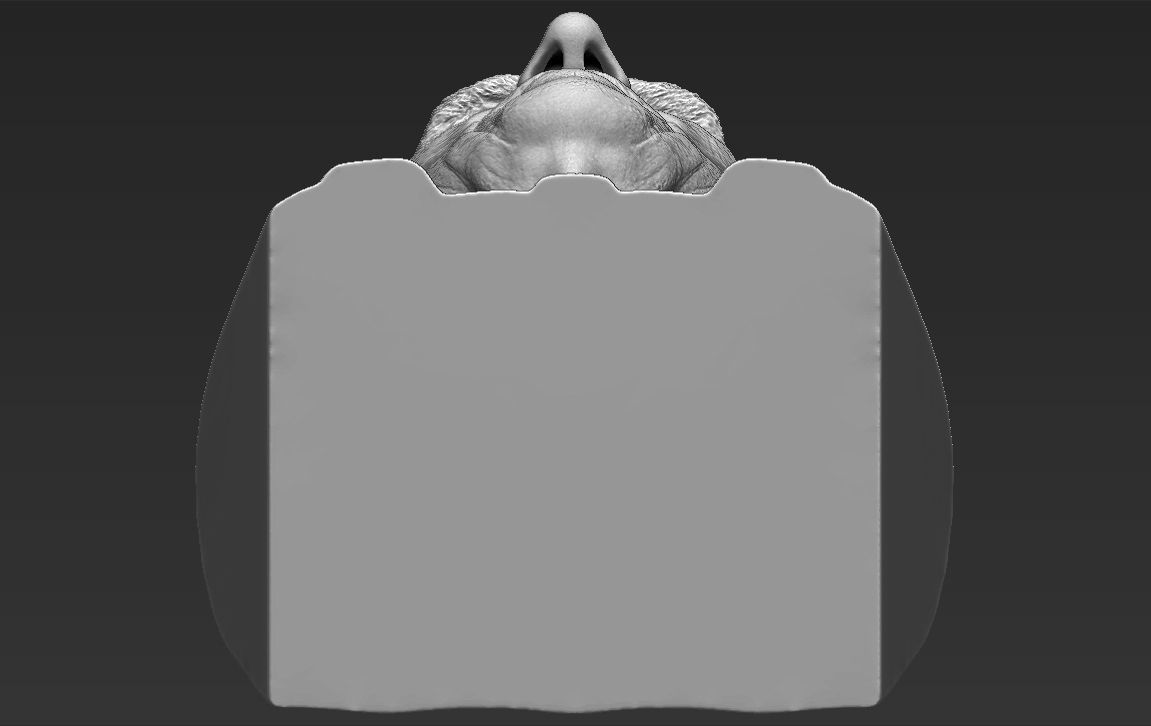 Prince Philip bust 3D printing ready stl obj formats 3D print model_26